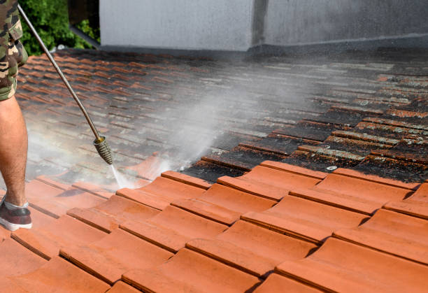 Best Exterior Home Cleaning  in Homedale, ID