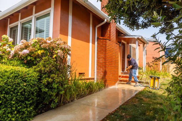 Best Deck Cleaning Services  in Homedale, ID